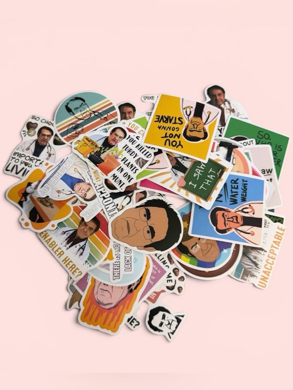 3/$10 Stickers 44ct 600lb Life Dr. Now Memes